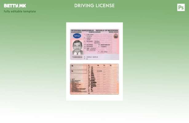 Шаблон за возачка дозвола Македонија во модерен стил